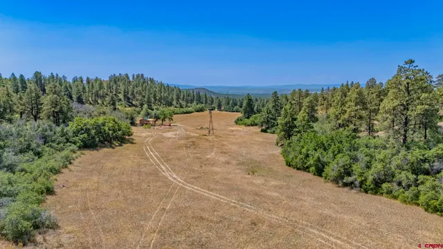 a view of a yard with an trees