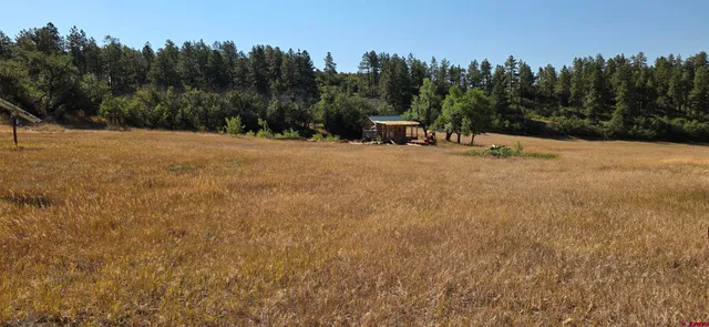 a view of outdoor space with trees