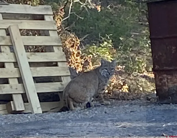 $2,498,000 | 7187 County Road 228, Bayfield, CO 81122