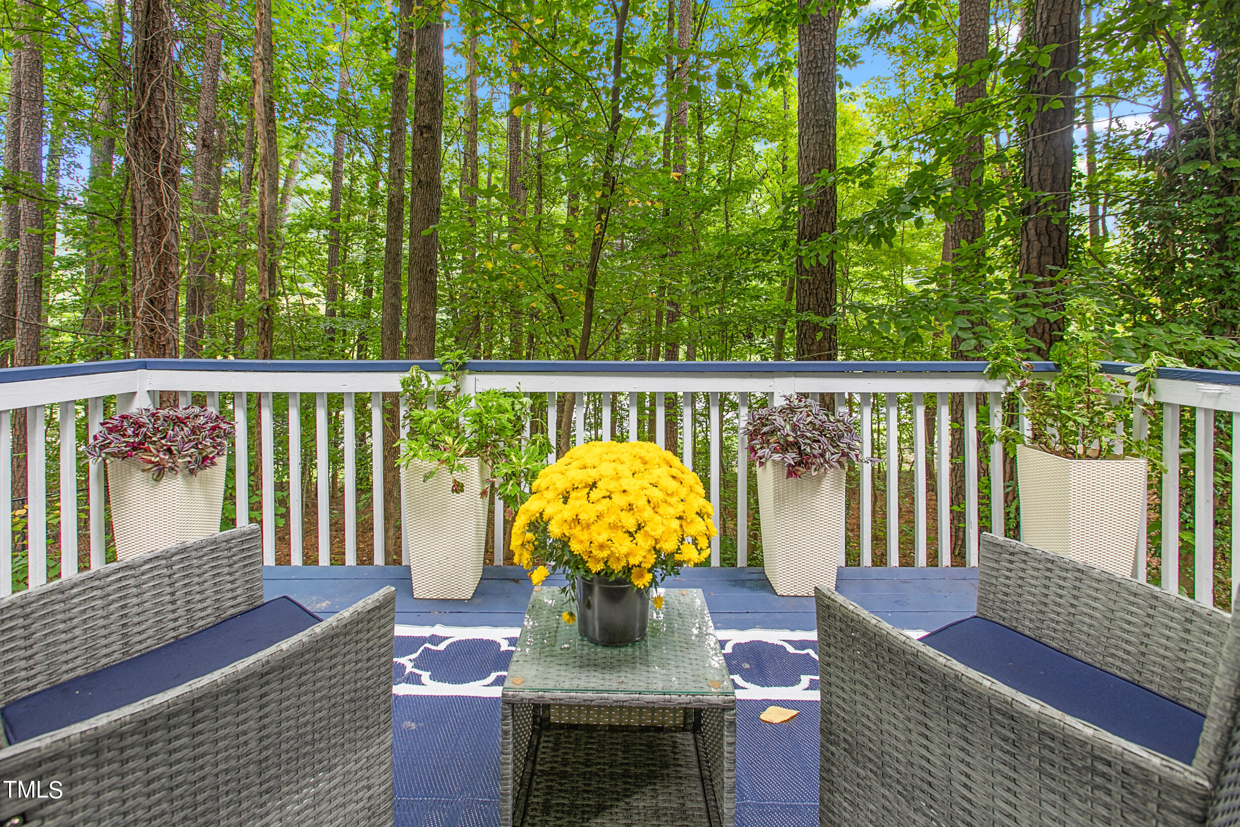 602 Manor Ridge Road Carrboro, NC 27510 - Photo 37 of 49 602 Manor Rdg Drive-38