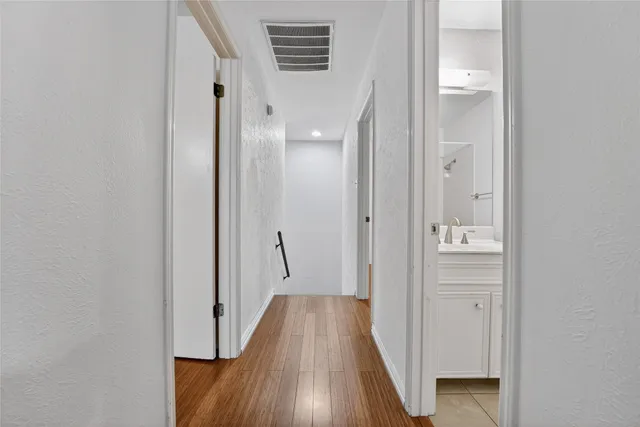 a view of a backyard with plants and large trees