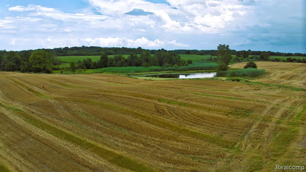 Vl Custer Road Carsonville, MI 48419 - Photo 15 of 16