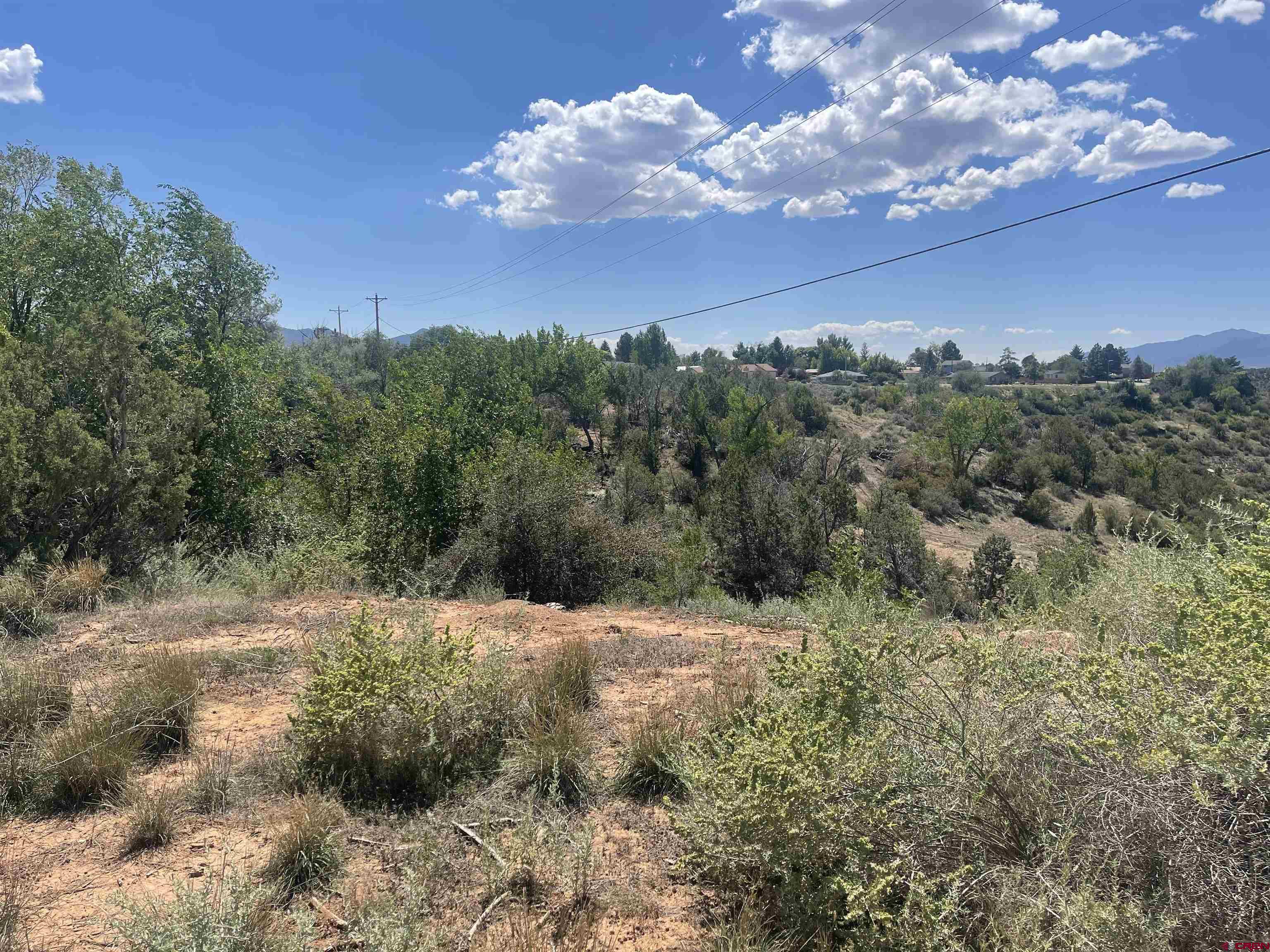818 Stratton Drive Cortez, CO 81321 - Photo 2 of 10 a view of a yard