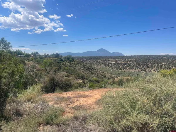 a view of an outdoor space and a yard