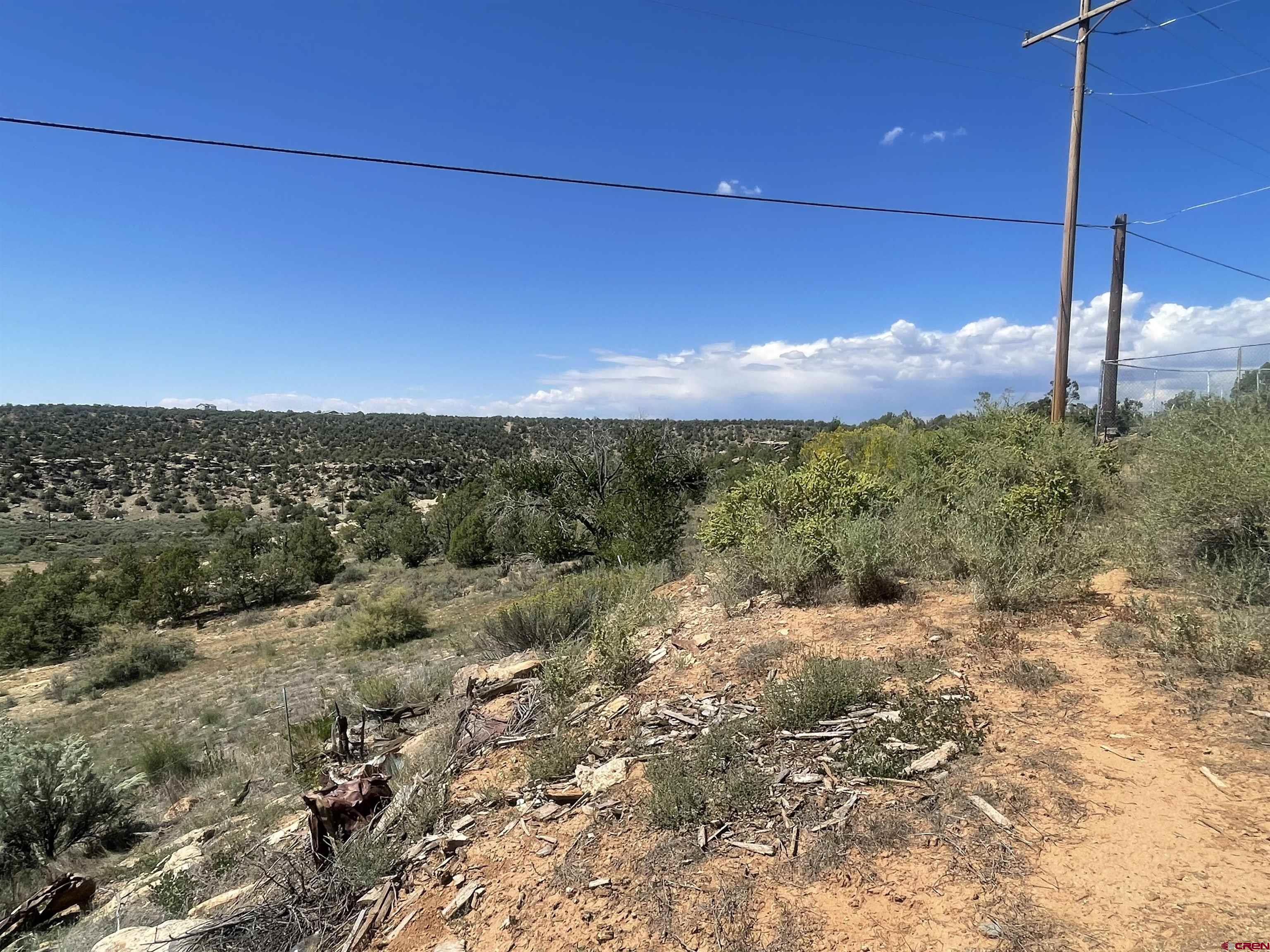 818 Stratton Drive Cortez, CO 81321 - Photo 7 of 10 a view of a yard