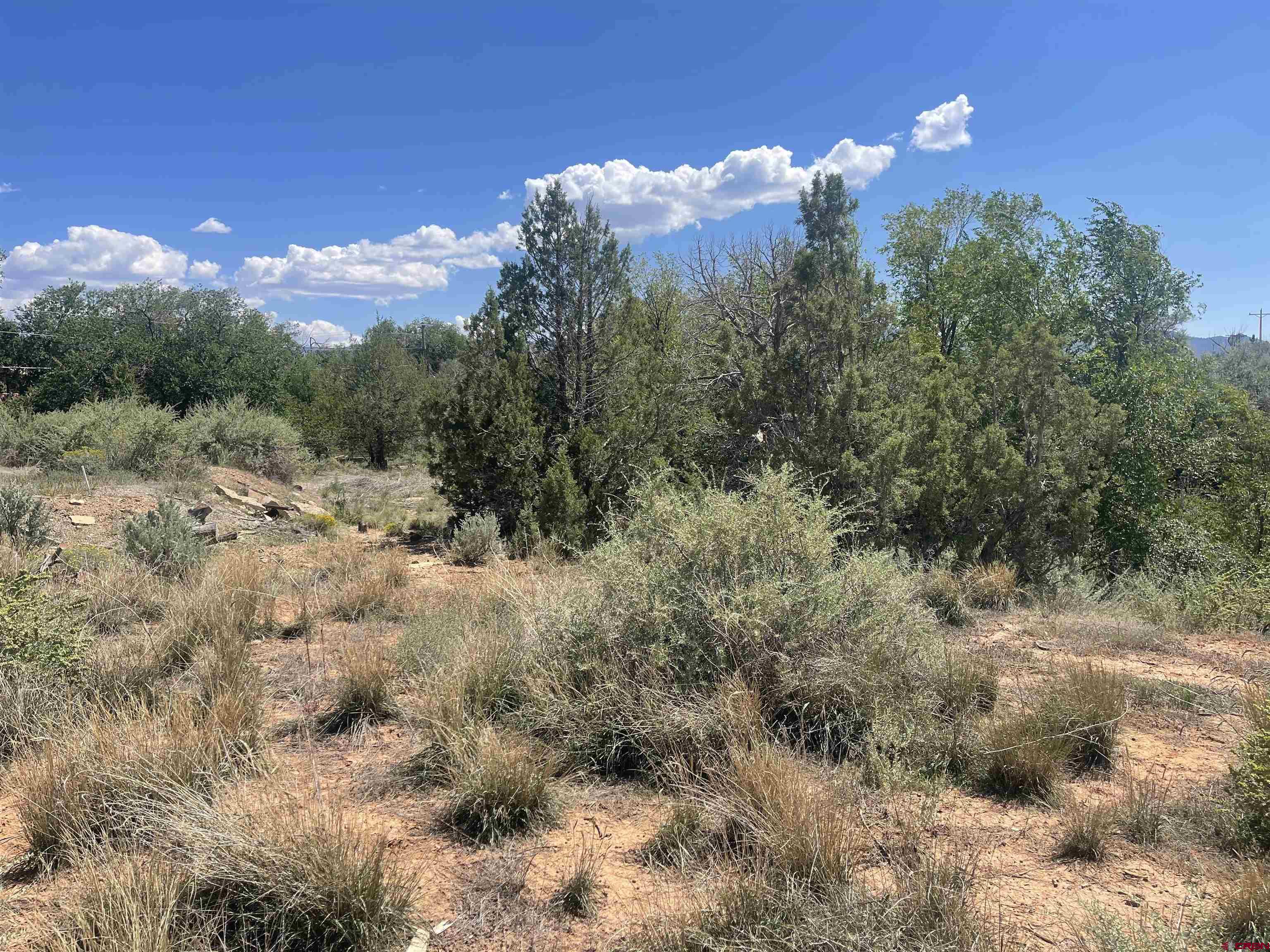 818 Stratton Drive Cortez, CO 81321 - Photo 8 of 10 a view of a city