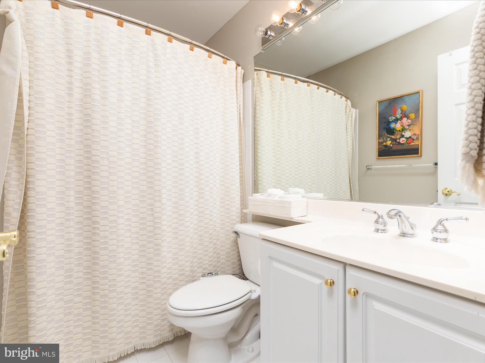 20636 Muddy Harbor Square Sterling, VA 20165 - Photo 19 of 41 a bathroom with a sink and a toilet