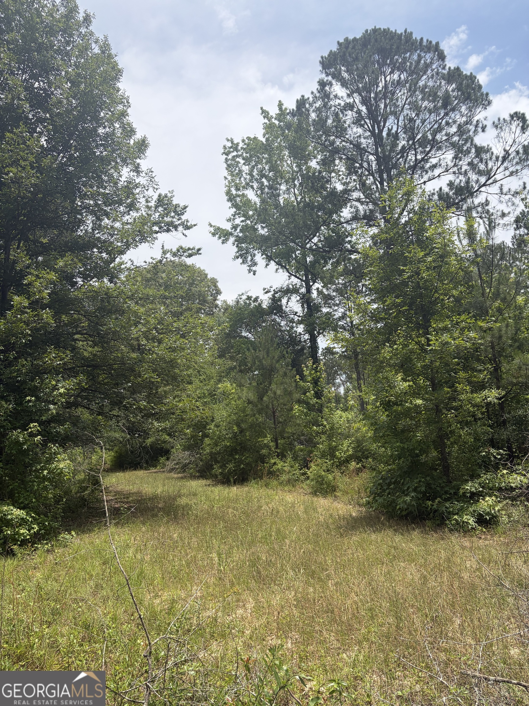 8 Sunhill Grange Road Sandersville, GA 31018 - Photo 4 of 11