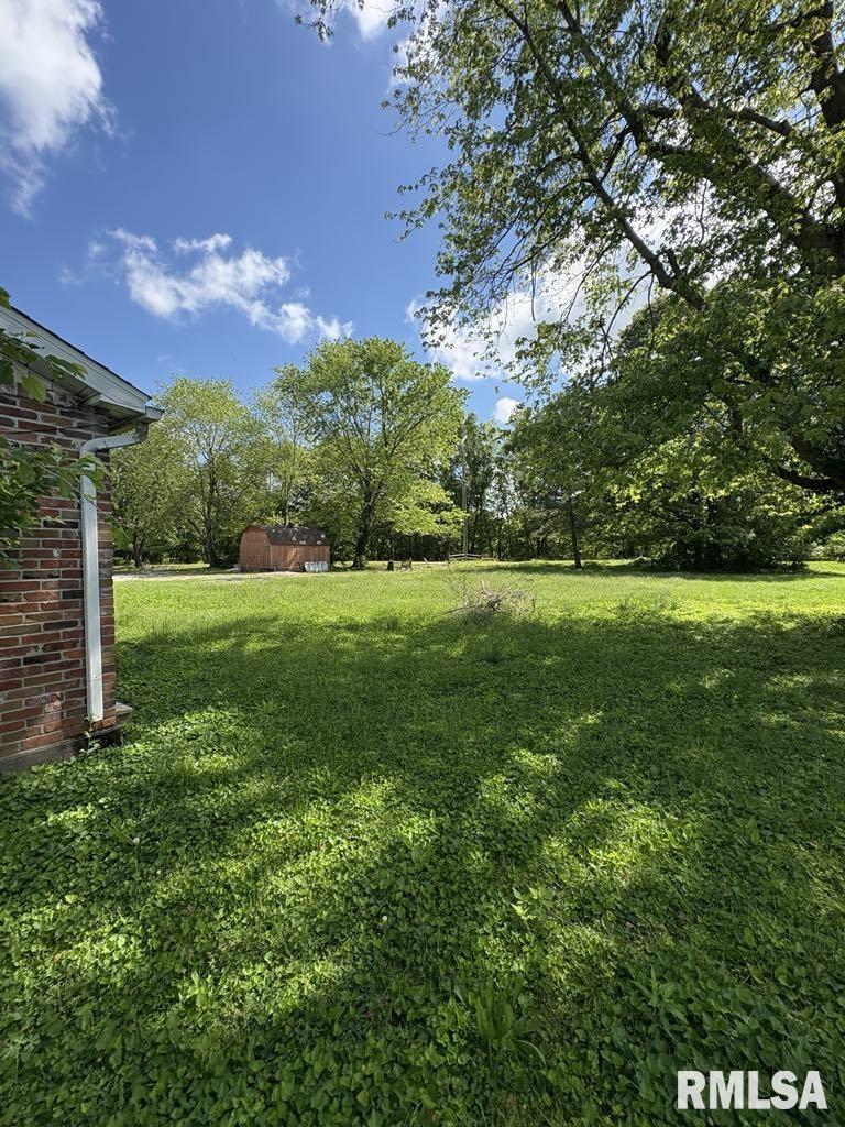 406 Church Street Christopher, IL 62822 - Photo 19 of 25 Gallery Image 19