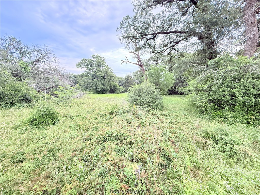 Tbd Wannabe Road Bryan, TX 77808 - Photo 4 of 25