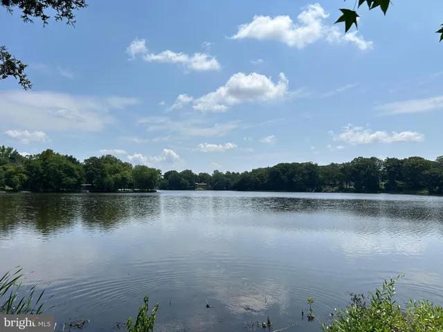 a view of a lake
