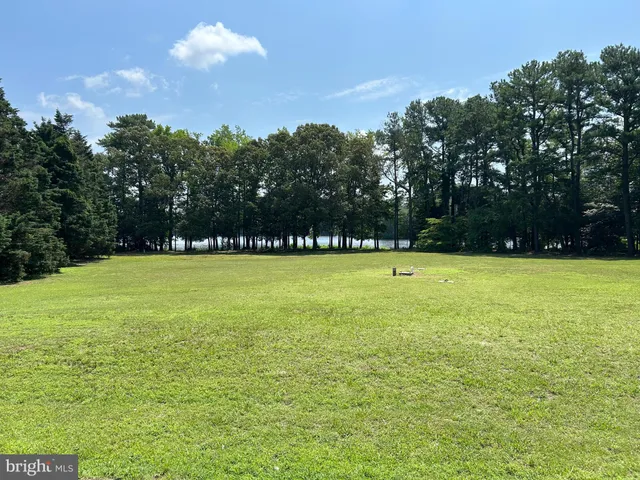 a view of outdoor space with swimming pool and trees in the background