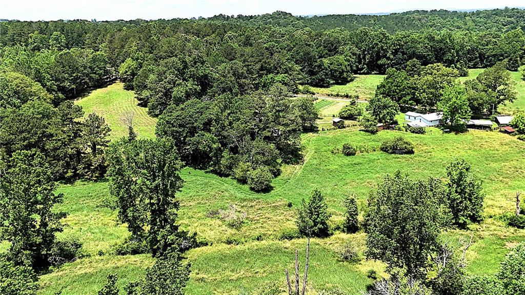 400 Kelley Road Tallapoosa, GA 30176 - Photo 12 of 52 a view of a lush green forest with trees and houses