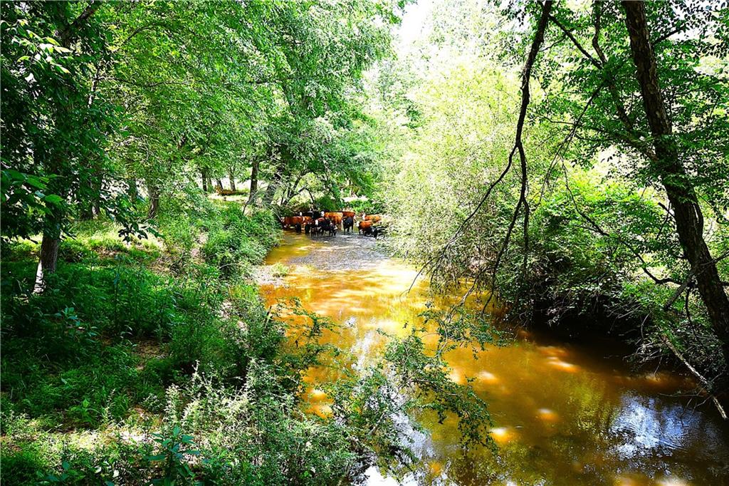 400 Kelley Road Tallapoosa, GA 30176 - Photo 22 of 52 a view of yard with green space