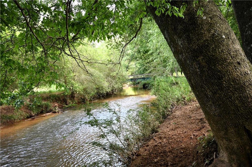 400 Kelley Road Tallapoosa, GA 30176 - Photo 24 of 52 a backyard of a house with lots of green space