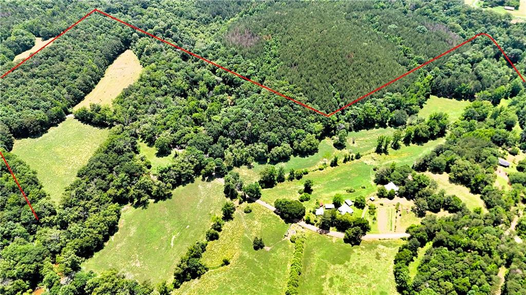 400 Kelley Road Tallapoosa, GA 30176 - Photo 26 of 52 a view of a garden with a tree