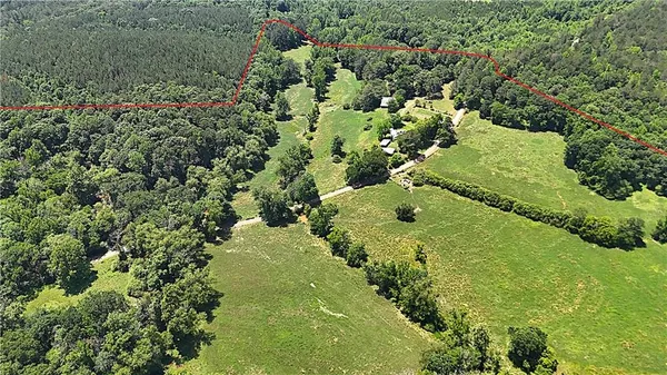 a view of a lush green forest with trees in the background