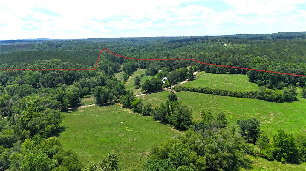 400 Kelley Road Tallapoosa, GA 30176 - Photo 30 of 52 a view of a lush green forest with trees in the background