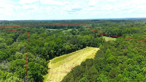 a yard with lots of green space and trees