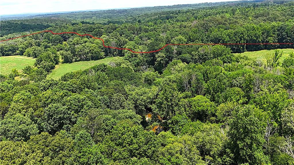 400 Kelley Road Tallapoosa, GA 30176 - Photo 34 of 52 an aerial view of a house with a lush green forest
