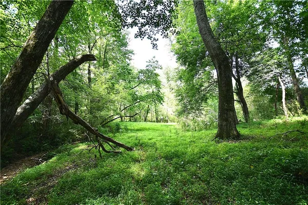 a big yard with lots of green space and deers