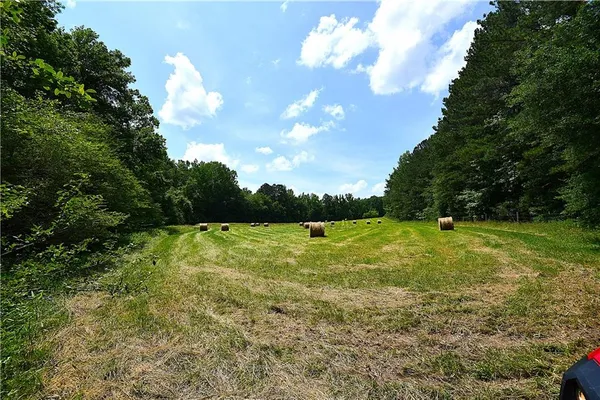 a view of yard with green space