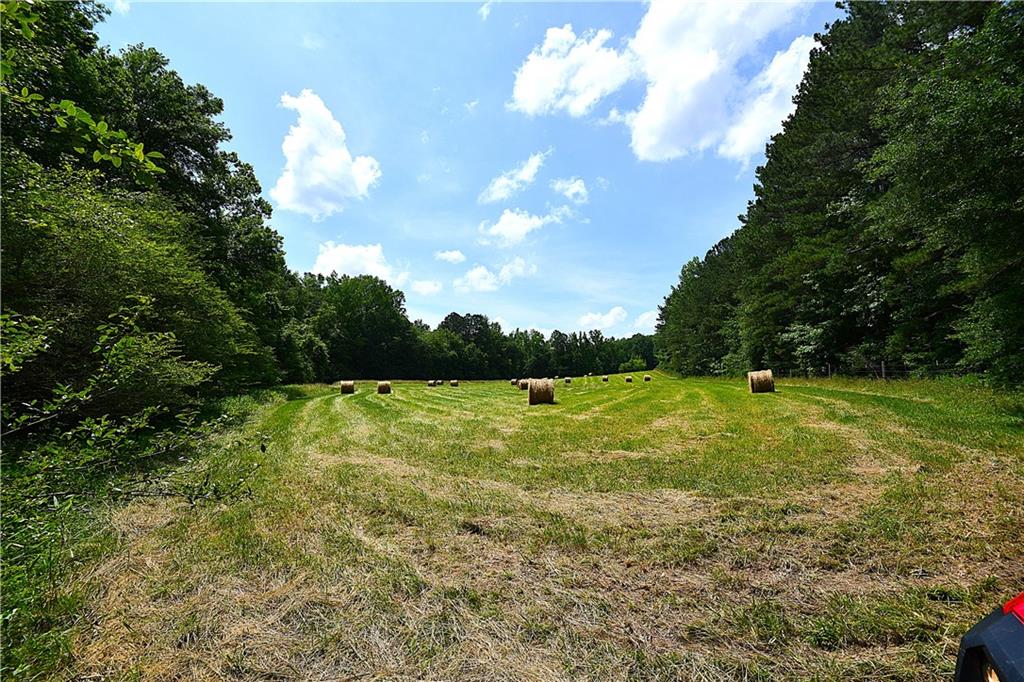 400 Kelley Road Tallapoosa, GA 30176 - Photo 36 of 52 a view of a golf course with a lake