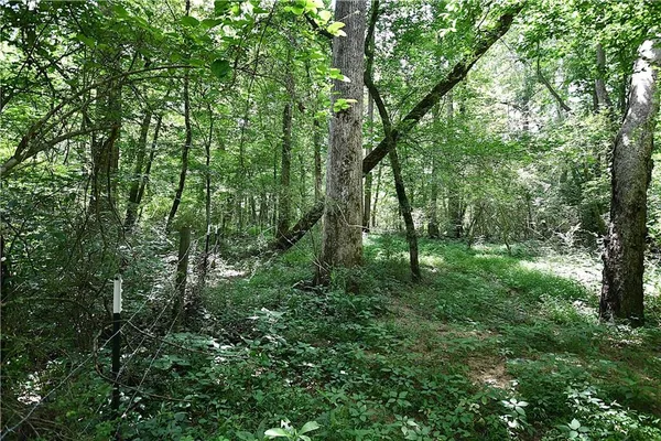 a view of a green field with wooden fence