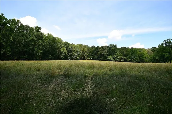 a view of a lake with large trees