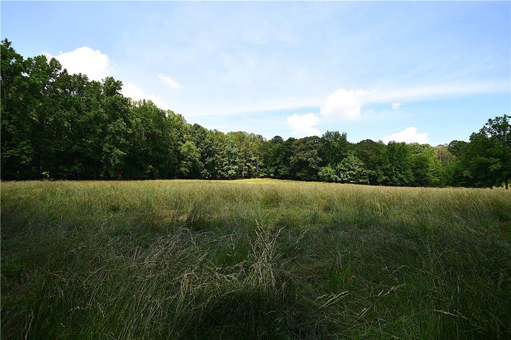 400 Kelley Road Tallapoosa, GA 30176 - Photo 39 of 52 a view of a green field with wooden fence