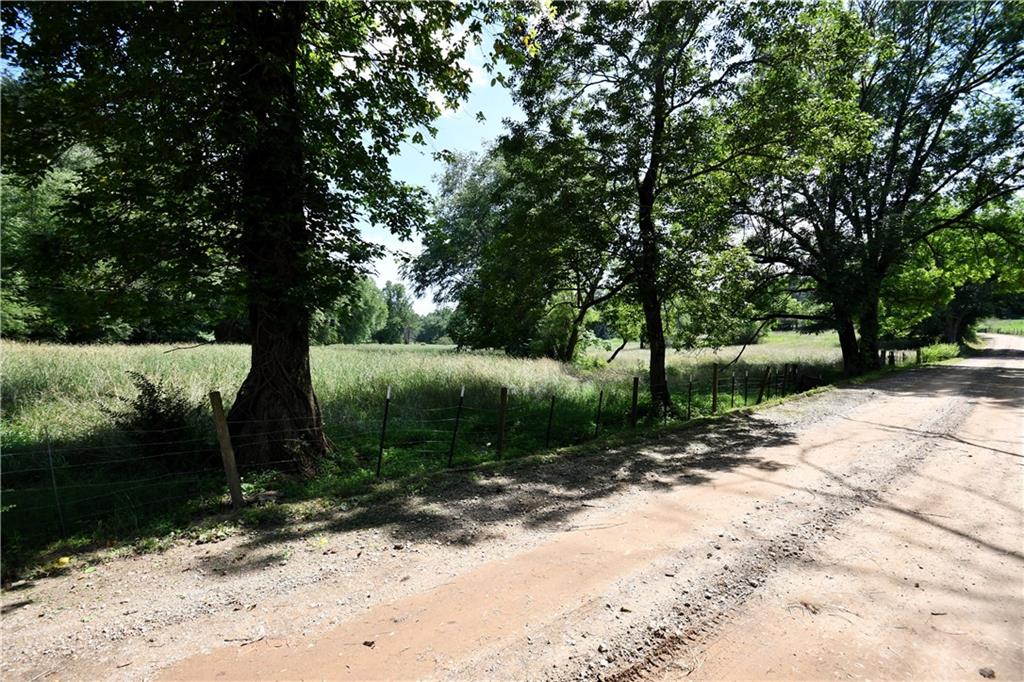 400 Kelley Road Tallapoosa, GA 30176 - Photo 40 of 52 a view of a road with a trees in the background