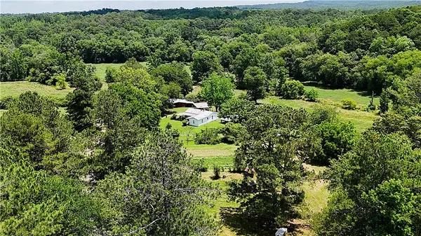 a view of a garden with a tree