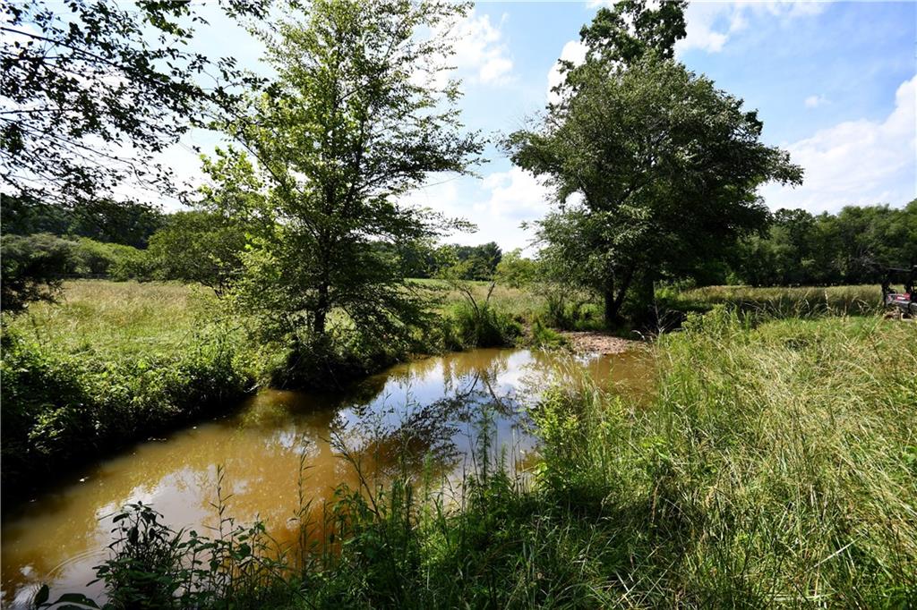 400 Kelley Road Tallapoosa, GA 30176 - Photo 41 of 52 a view of a lake with large trees