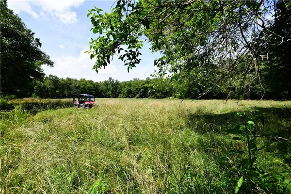 a view of a lush green space