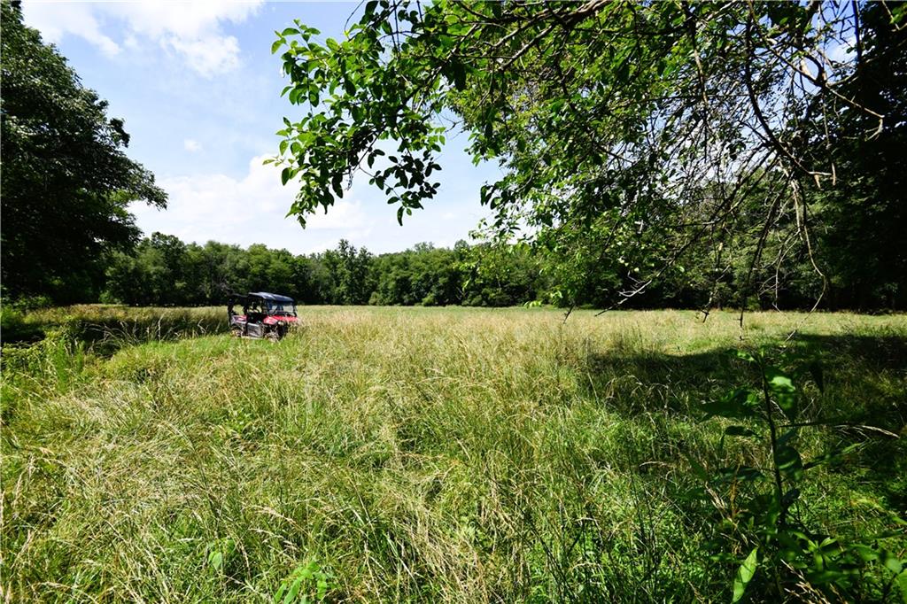 400 Kelley Road Tallapoosa, GA 30176 - Photo 42 of 52 a view of outdoor space with deck and yard