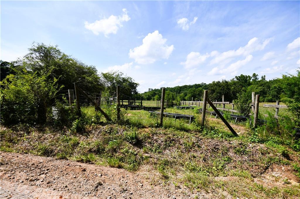 400 Kelley Road Tallapoosa, GA 30176 - Photo 43 of 52 a view of a garden