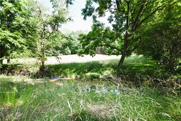 a view of a road with a yard