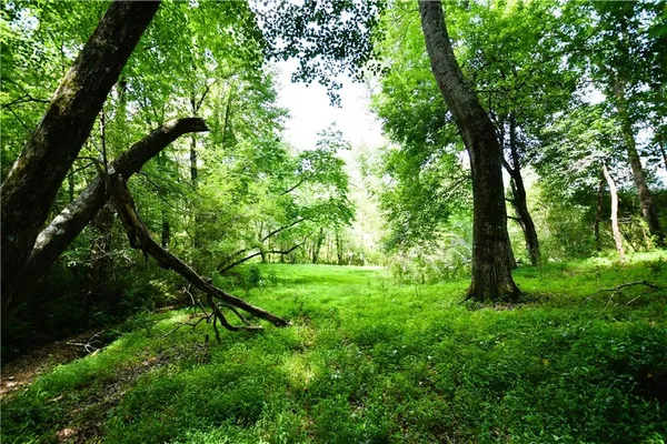 a view of a bench in a garden