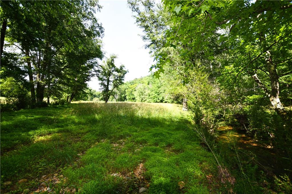 400 Kelley Road Tallapoosa, GA 30176 - Photo 49 of 52 a view of outdoor space with deck and yard