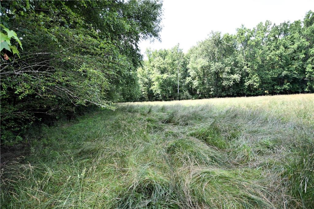 400 Kelley Road Tallapoosa, GA 30176 - Photo 50 of 52 a view of an outdoor space and a yard