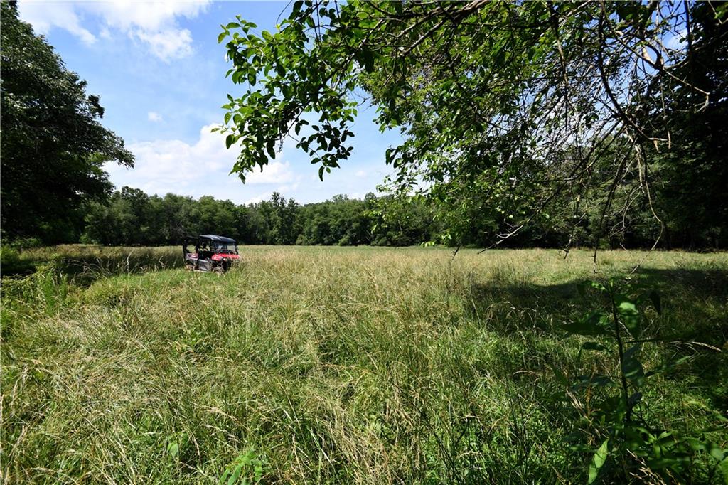 400 Kelley Road Tallapoosa, GA 30176 - Photo 51 of 52 a view of outdoor space with deck and yard