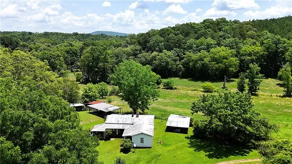 a view of a green field with lots of bushes