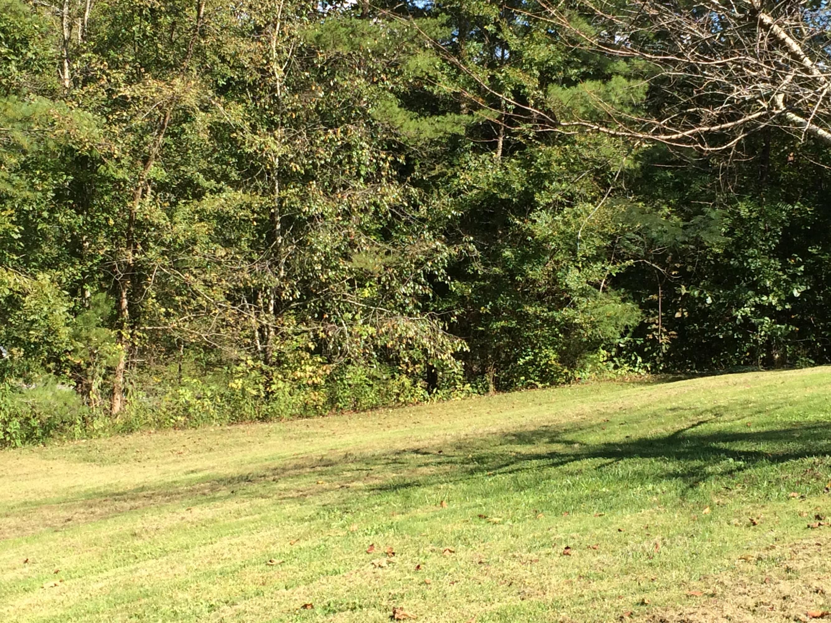 1046 Corntassel Road Vonore, TN 37885 - Photo 3 of 22 IMG_0157