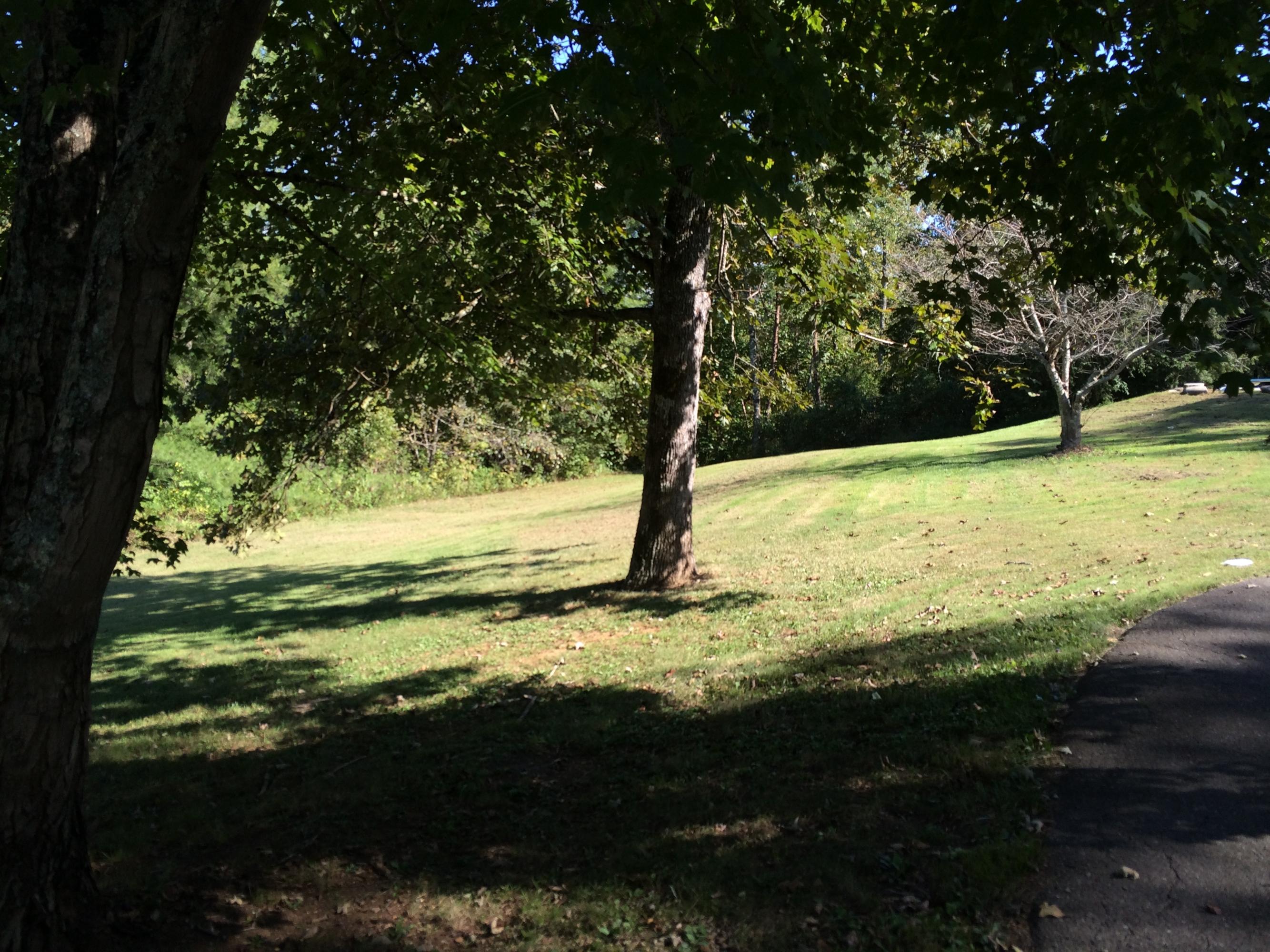 1046 Corntassel Road Vonore, TN 37885 - Photo 10 of 22 IMG_0179