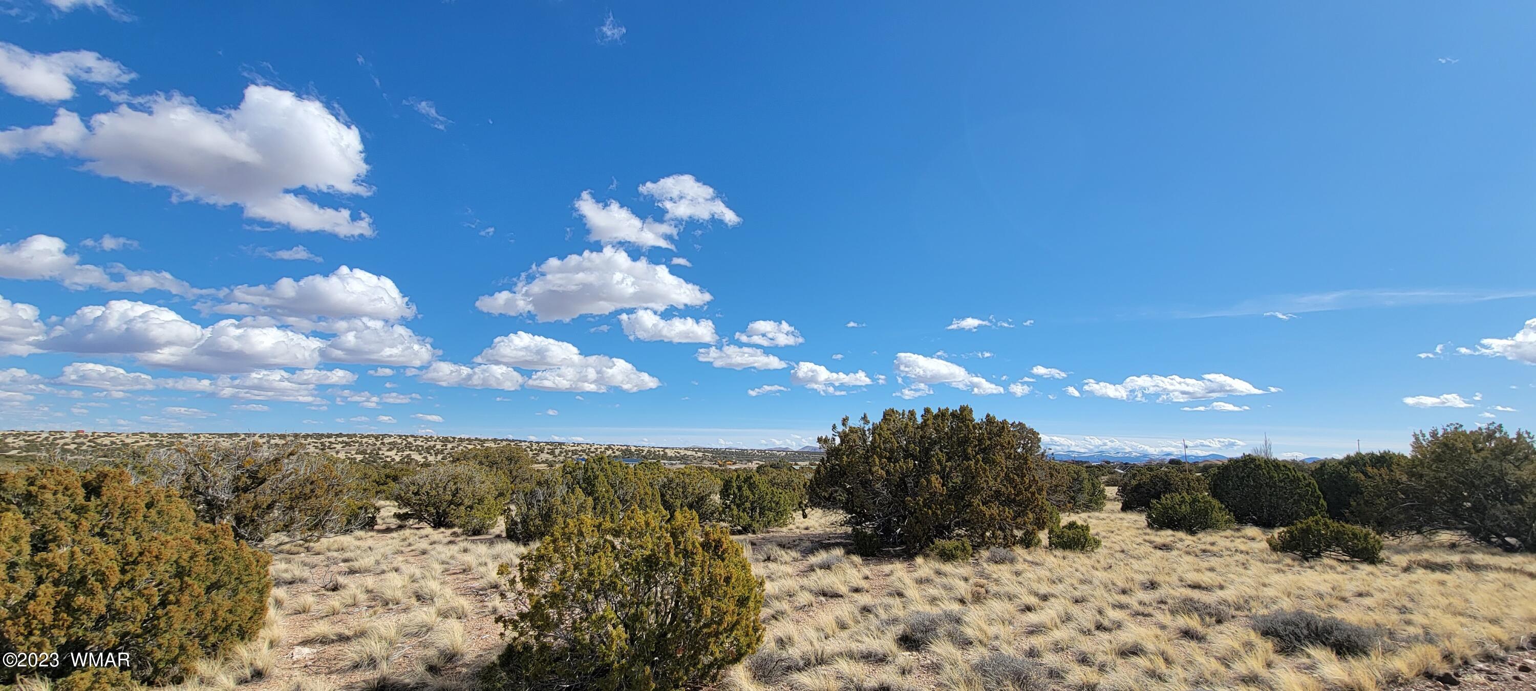 56 County Road Concho, AZ 85924 - Photo 4 of 7 20230312_150524