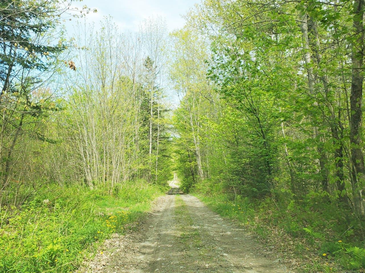 Lot 6 Pleasant Pond Road Milo, ME 04463 - Photo 27 of 38 20260523_143149 adj
