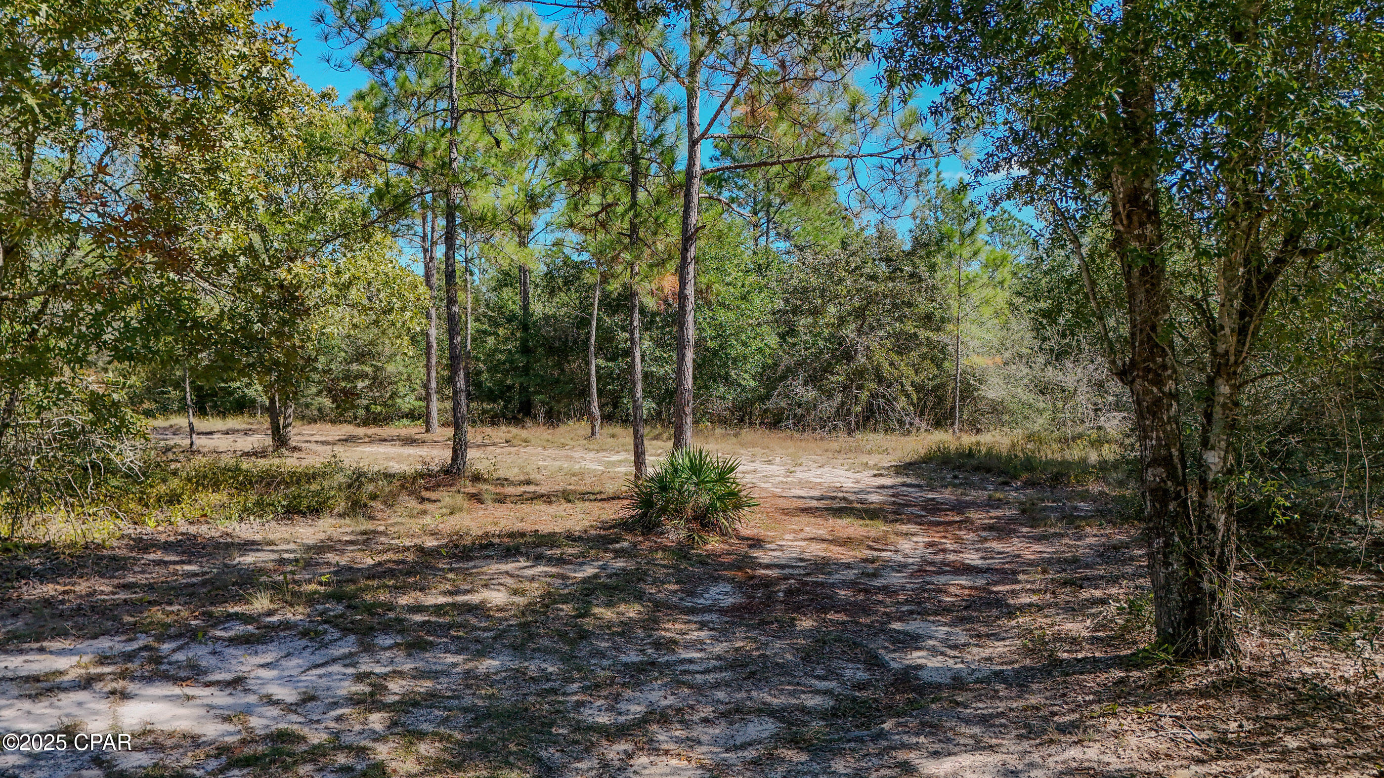 300 Deer Trail DeFuniak Springs, FL 32433 - Photo 34 of 44