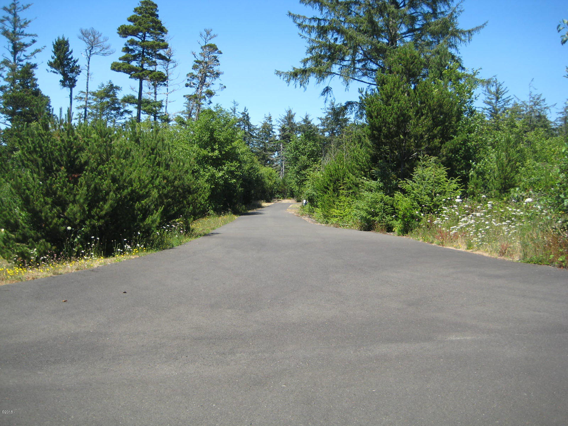 Tl302 Northwest Riggen Avenue Seal Rock, OR 97376 - Photo 6 of 12 South End West St