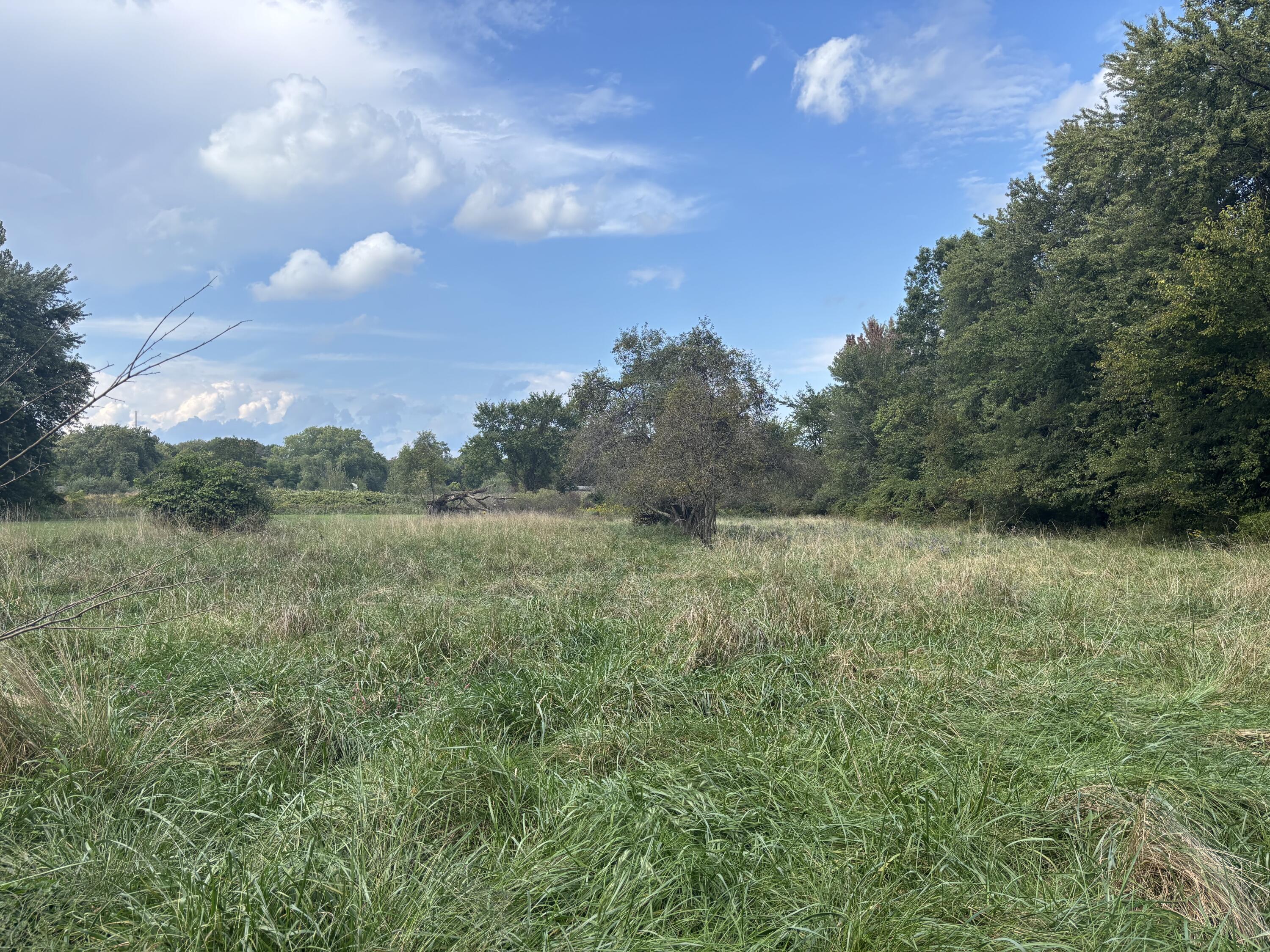 4300 Roosevelt Place Gary, IN 46408 - Photo 2 of 5 a view of a field of grass and trees