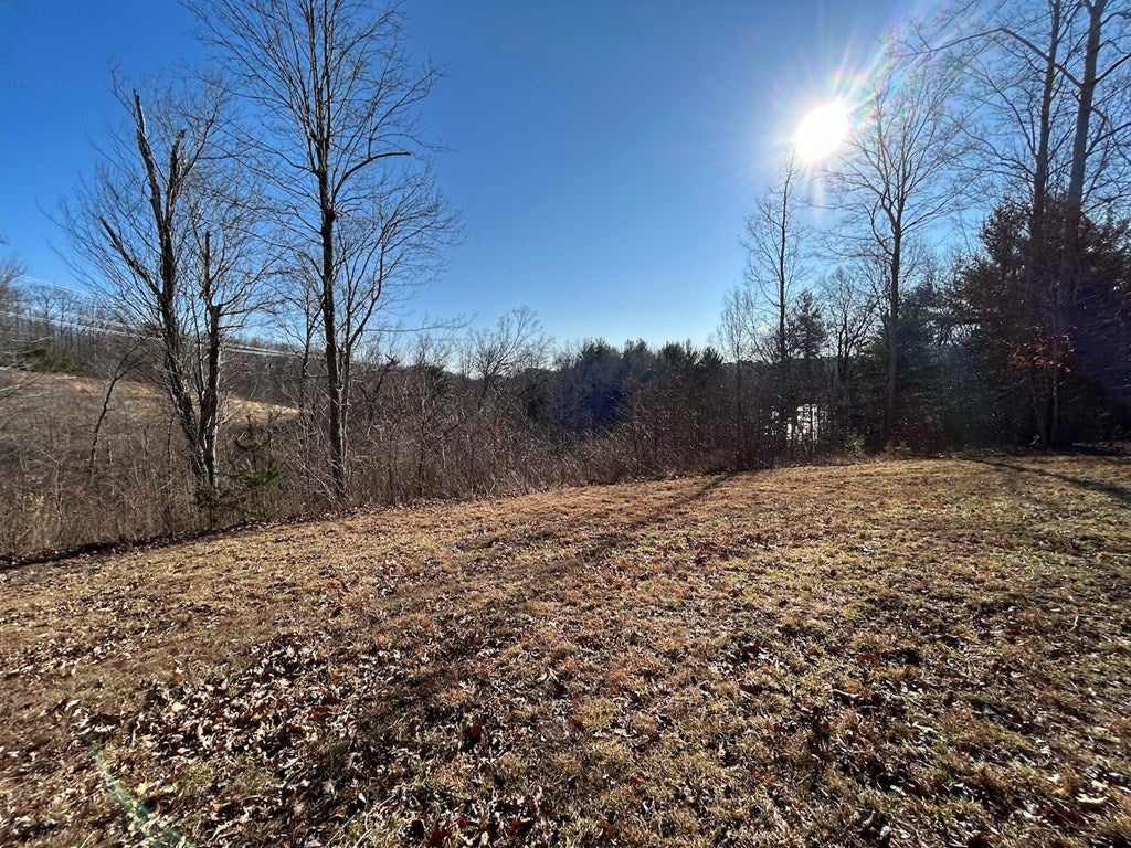 35.9-ac Rural Retreat Lake Road, Unit 7D Rural Retreat, VA 24368 - Photo 35 of 46 Gallery Image 35